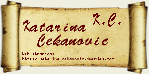 Katarina Čekanović vizit kartica